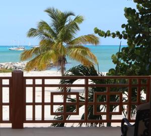 a view of a beach with a palm tree and the ocean at The Crown House Hotel in Philipsburg