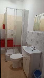 a bathroom with a toilet and a shower and a sink at Diskrepant Budget Room in Warsaw