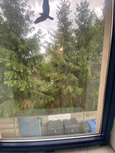 a bird flying over a window with a view at Diskrepant Budget Room in Warsaw