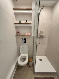 a small bathroom with a shower and a toilet at Le Cocon du Royat Palace in Royat +24 photos