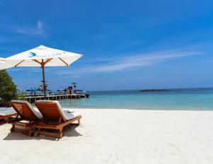 a couple of chairs and an umbrella on a beach at Pao Pao Cartagena in Isla Grande