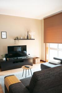 a living room with a couch and a tv at S. Mamede House - Penafiel in Recezinhos