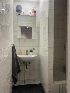 a bathroom with a sink and a shower at Business Executive Studio in Geel