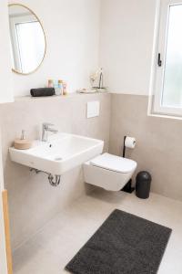a bathroom with a sink and a toilet and a mirror at ILA vacation home Memmingen in Memmingen