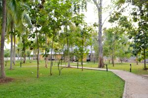 a park with palm trees and a path at Kottawatta Village in Udawalawe