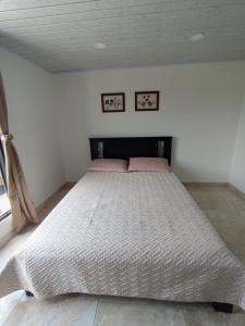 a bedroom with a large bed in a room at Hospedaje La Tebaida in La Tebaida +10 photos