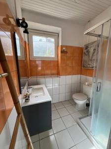a bathroom with a toilet and a sink and a shower at La maison sur la plage in Saint-Pierre