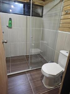 a bathroom with a toilet and a shower at Cabaña del Sol in Medellín +5 photos
