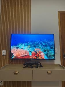a flat screen tv sitting on top of a dresser at D Castro Art House in Montes Claros