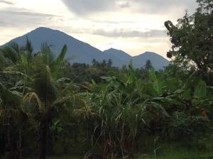 a view of the mountains from the jungle at Villa Gede Private Guest House in Selemadeg