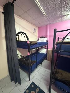 a room with blue bunk beds in a room with pink walls at Pink Hostel in Ko Tao