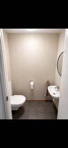 a small bathroom with a toilet and a sink at Rekkehus i Sandnes in Stavanger +6 photos