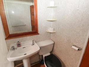 a bathroom with a sink and a toilet and a mirror at Cabin No 3 - Salt and Fern Cabins in Port Talbot