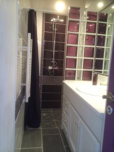 een badkamer met een douche en een wastafel bij Studio indépendant dans villa avec piscine à Gap in Gap
