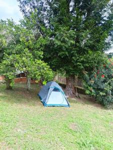 a blue tent sitting in the grass next to a tree at Ecocamping oasis in San Francisco