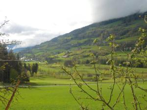 a green field with a mountain in the background at Steinerhof in Sankt Georgen ob Murau