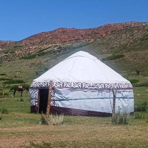 a tent in a field with a horse in the background at Актан in Chong-Kyzylsu
