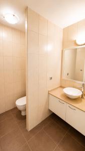 a bathroom with a toilet and a sink and a mirror at Blue Lagoon - Studio avec accès piscine in Papeete +5 photos