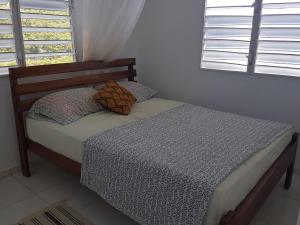 BiocheEvie Cottage的卧室里有一张床，上面有两个枕头