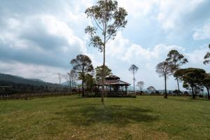 a tree in a field with a gazebo at WWS Cabin By ARBA in Palayangan