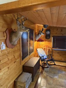 two deer heads on the wall of a cabin at Near the Slopes - Big Bear Mountain getaway in Big Bear Lake