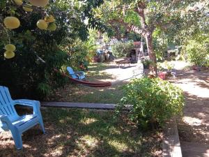 two blue chairs sitting in the grass under a tree at maison entière in Saint-Pierre