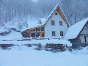 a house covered in snow in the mountains at StaroplaninSki Apartments in Crni Vrh