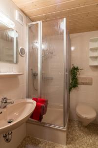 ein Bad mit einer Dusche, einem Waschbecken und einem WC in der Unterkunft Landhaus Berktold in Obermaiselstein