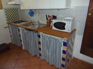 una cocina con fregadero y microondas en una encimera en Podere Mazzana, en Marti