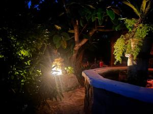 a garden at night with a light in a tree at Casita Limón Andratx in Andratx +43 photos