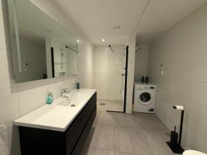 a bathroom with a sink and a washing machine at Aurora Apartments - Mountain View in Stryn