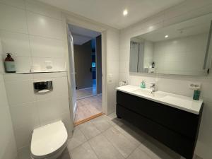 a bathroom with a toilet and a sink and a mirror at Aurora Apartments - Mountain View in Stryn