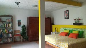 a bedroom with a bed and a book shelf at Casa Lulú in Mexico City