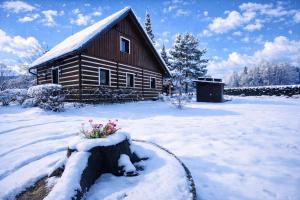 a log cabin with a flower pot in the snow at Chaloupka v ráji in Veselá