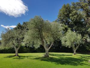 Zahrada ubytování Villa Nencini