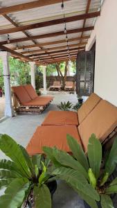 a patio with orange umbrellas and chairs and plants at Waves & Paws Hostel in Arugam Bay