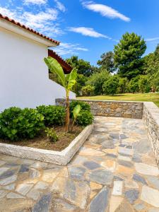 a garden with a stone walkway and a plant at Panos Villas in Koukounaries