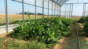 Vonkajšia záhrada v ubytovaní Il Poggio Agrisport