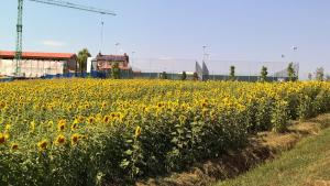 Vonkajšia záhrada v ubytovaní Il Poggio Agrisport