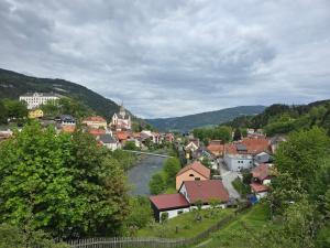 a town on a hill with a river and houses at Sager Haus in Murau
