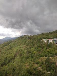 a green hill with a building on top of it at Sai Homestay in Mussoorie