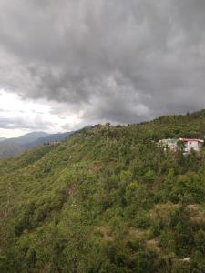 a green hill with a building on top of it at Sai Homestay in Mussoorie