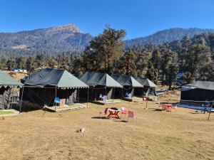a group of tents with tables and chairs in a field at grand holiday camp in Sari