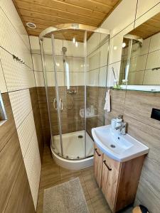 a bathroom with a shower and a sink at Siedlisko Wataha 721-140-600 in Wołkowyja