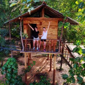 Ospiti di Angry Birds Tree house