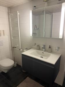 a bathroom with a sink and a toilet and a mirror at Pâquier 3 in Saint-Sulpice +6 photos