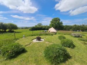 a field with a tent in the middle of a field at Maisie's Campsite in Bideford