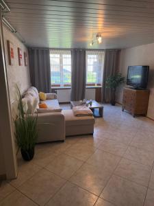 a living room with a couch and a tv at Pâquier 3 in Saint-Sulpice