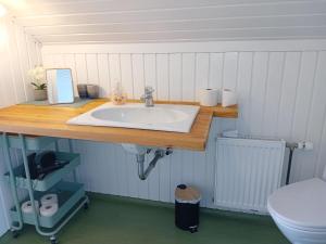 a bathroom with a sink and a toilet at Heidis Loft in Vidstrup +8 photos