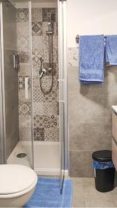 a bathroom with a shower and a toilet at Il Vicoletto in Pisticci